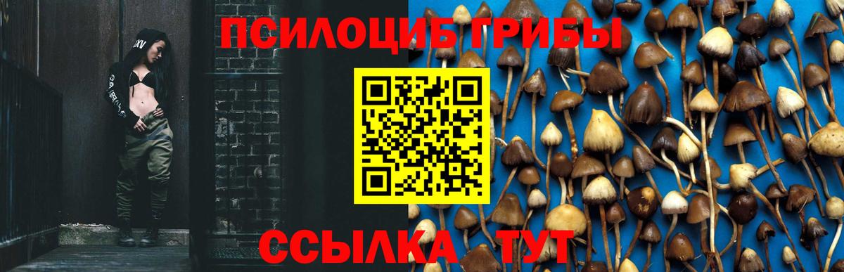 Галлюциногенные грибы Psilocybe  Галлюциногенные грибы GOLDEN TEACHER  Бахчисарай  Вход с VPN 